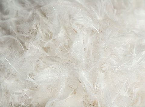 BMS furniture filling materials