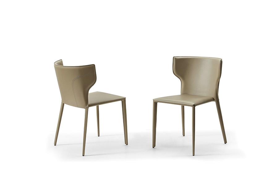 Modern Leather Dining Chairs Fancy, Fancy Dining Chairs