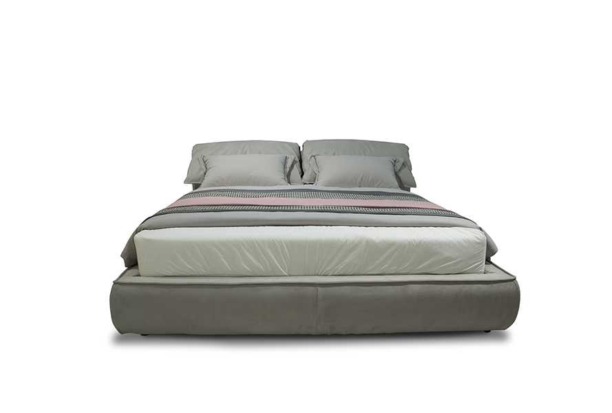 Designer Fabric Bed Fanny B21C-2003(2)